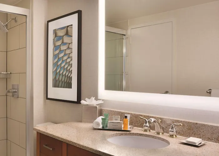 Hotel Hilton Magnificent Mile 3*