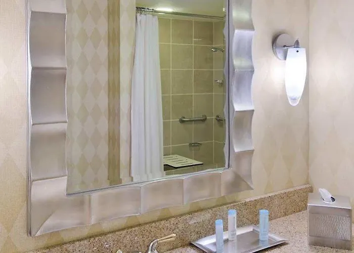 Hotel Hilton Magnificent Mile 3*
